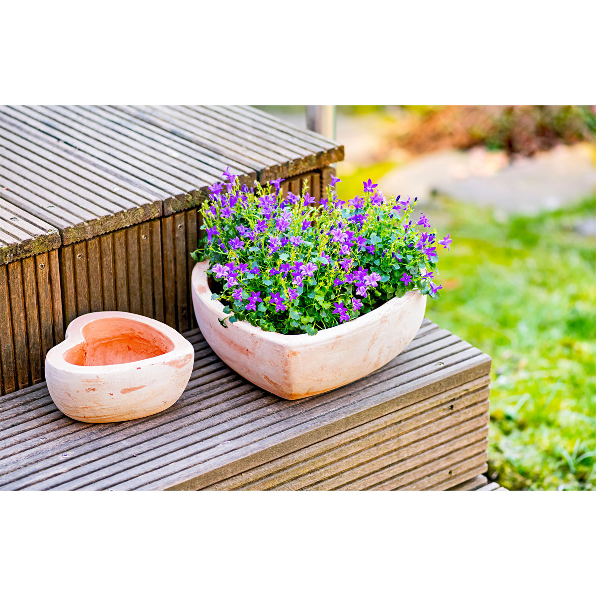 Haveson Pflanzschale Herz groß Bild 5