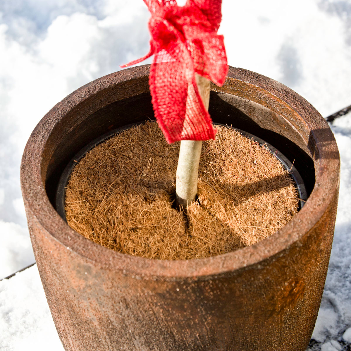 Windhager Mulchscheibe Cocodisc Durchmesser 45 cm