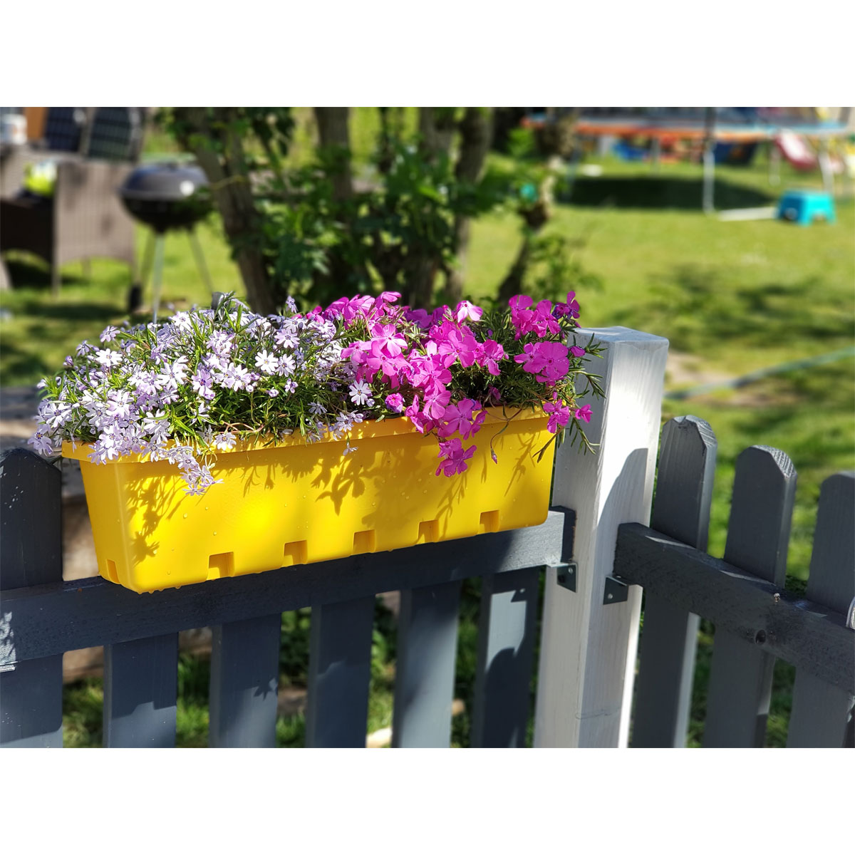 Stück GreenLife Blumen- | | Kräuterbox und gelb K000064665 Gelb 5