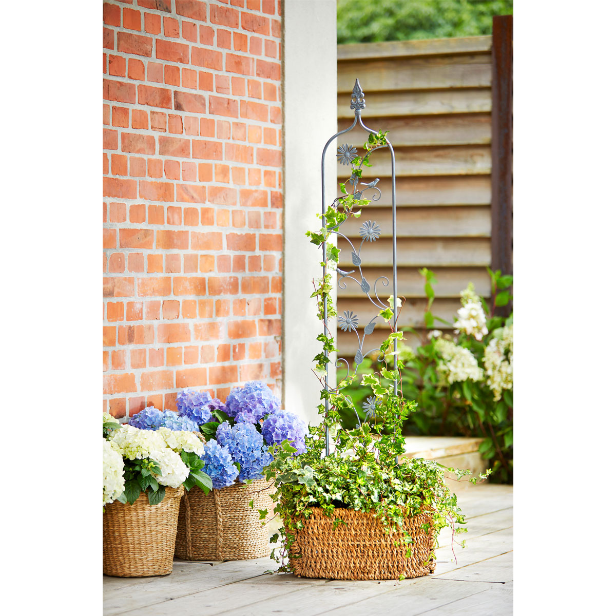 Haveson Rankstecker FLORA 151 cm Bild 2