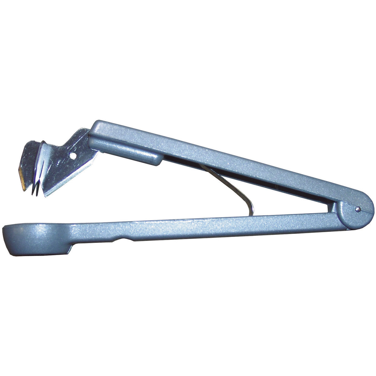 Pflaumenentsteiner silber