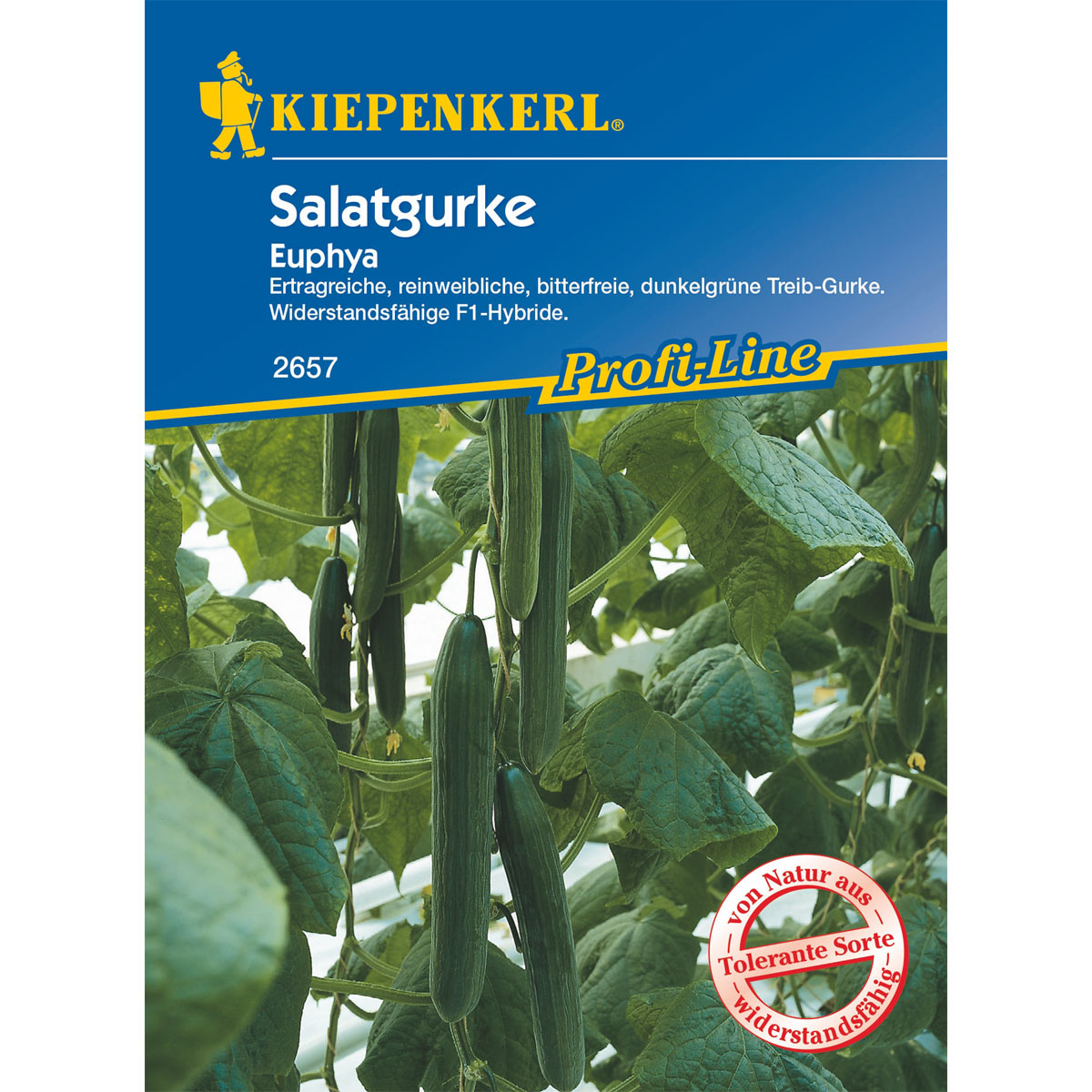 Kiepenkerl Gurke Euphya