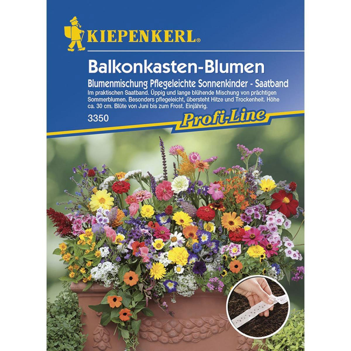Kiepenkerl Balkonkastenblumen Sonnenkinder