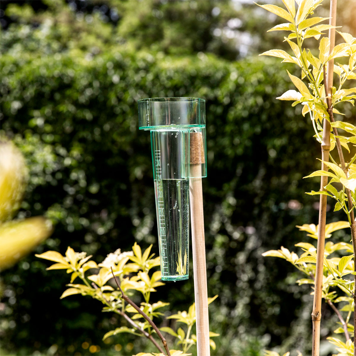 Windhager  Regenmesser Profi Bild 2