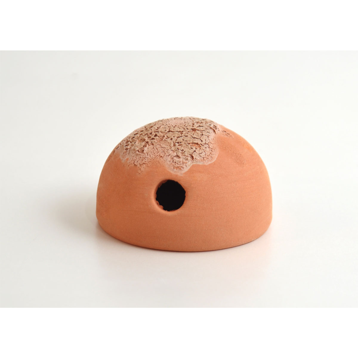 Garnelennuss 1 Loch 6 x 3 cm