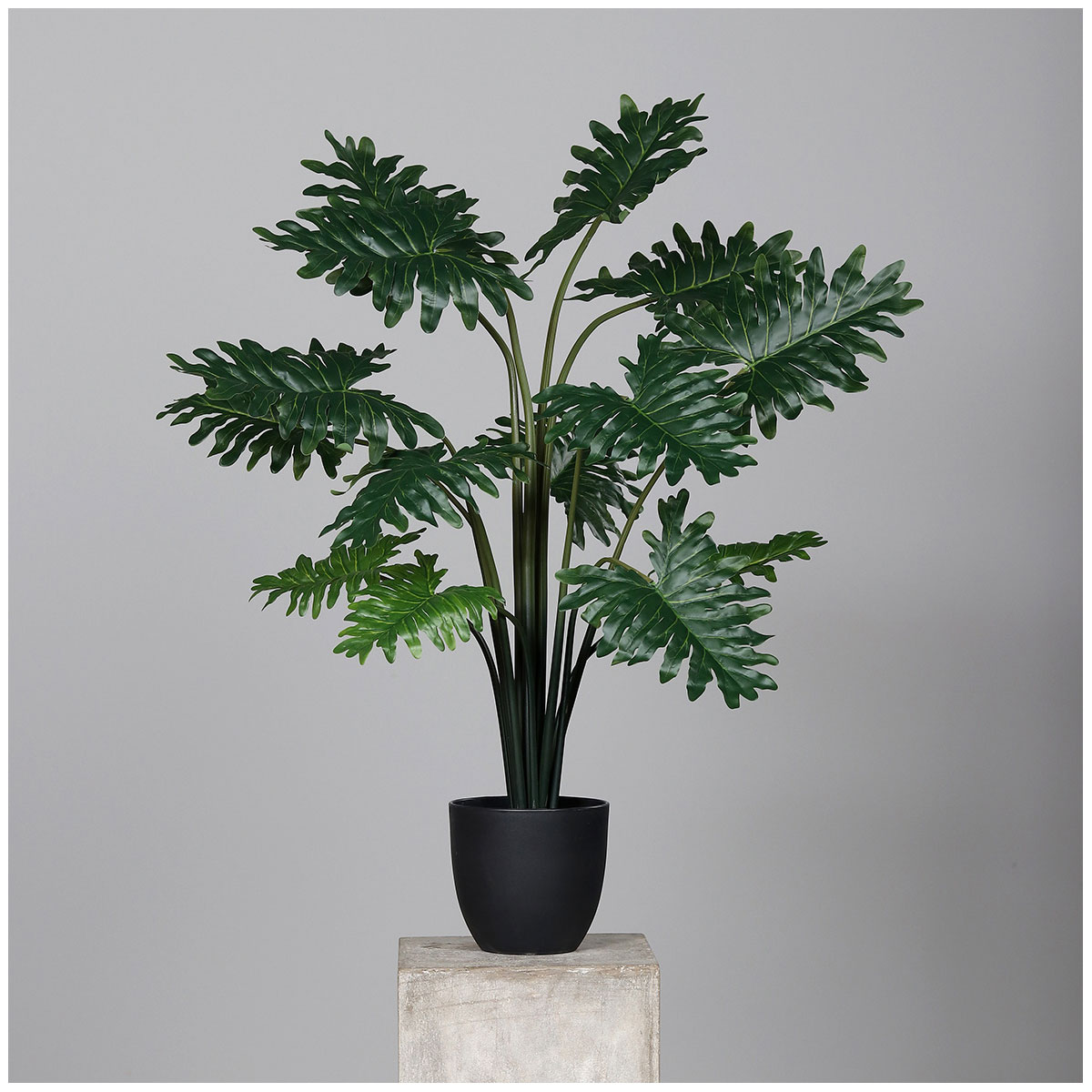 Philodendron Kunststofftopf, schwarz, 70 cm