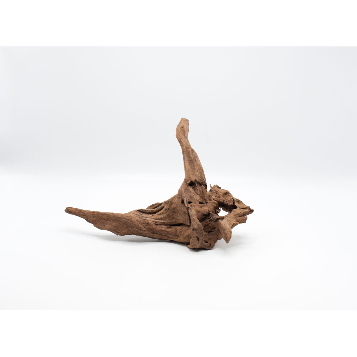 Driftwood Wurzel 14 x 5 cm