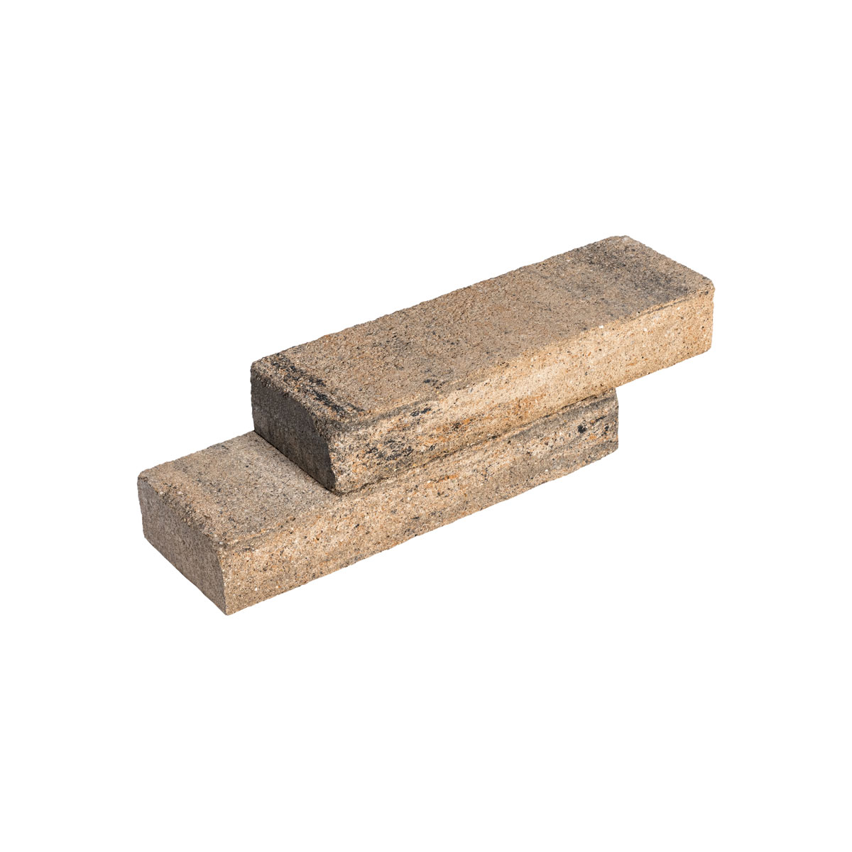 Diephaus  Mauerstein Cup Muschelkalk 60 x 20 x 10 cm Anfangsstein Bild 2