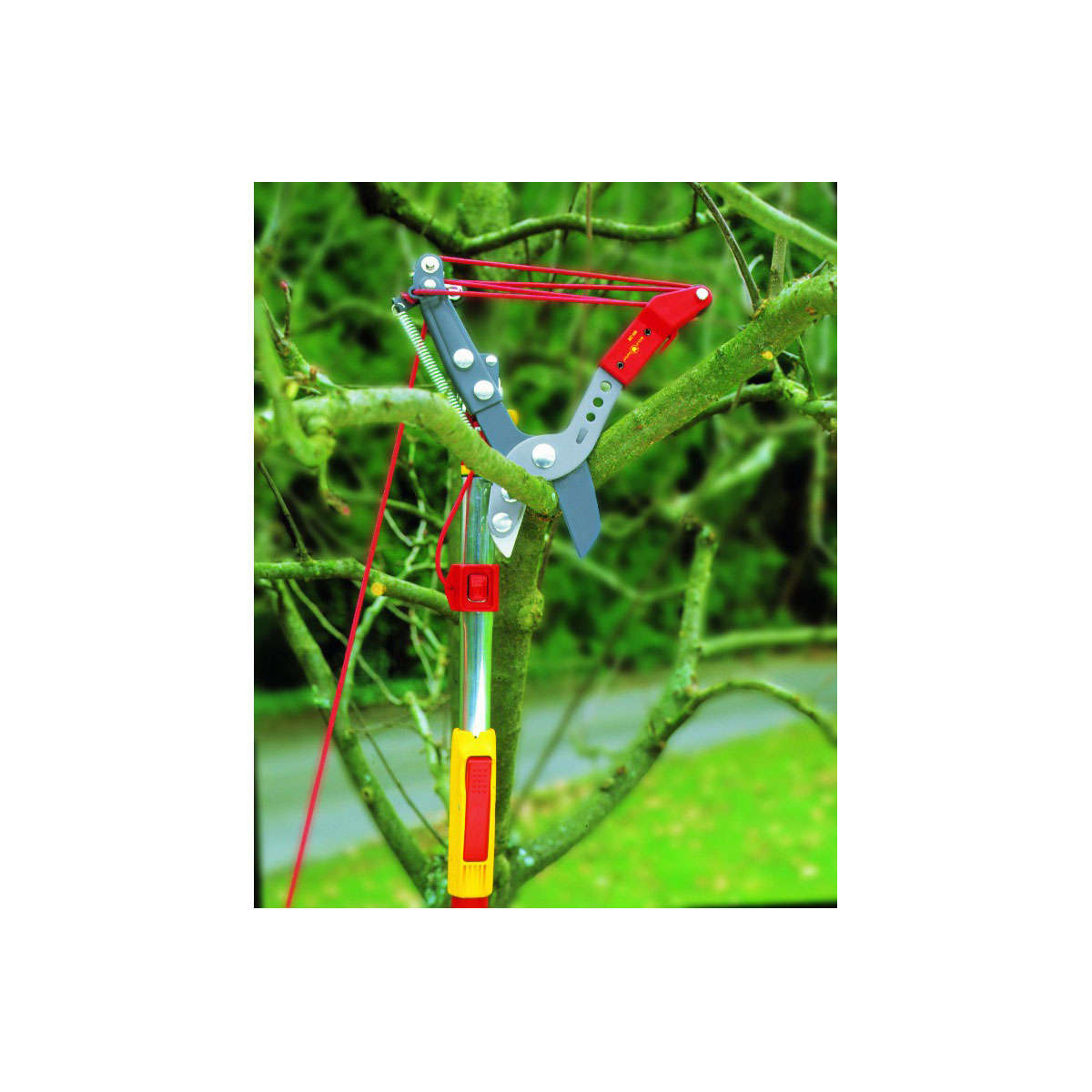 Wolf Garten Profi-Baumschere RC-VM Bild 2