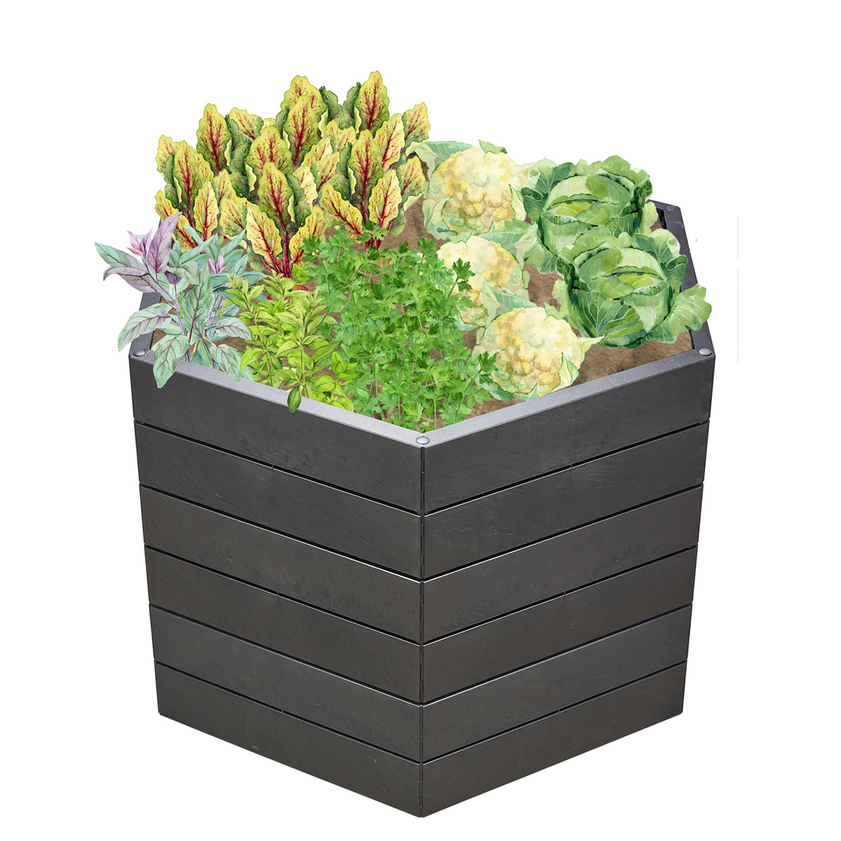 Garantia Hochbeet ERGO L 75 Stone inkl FLORA