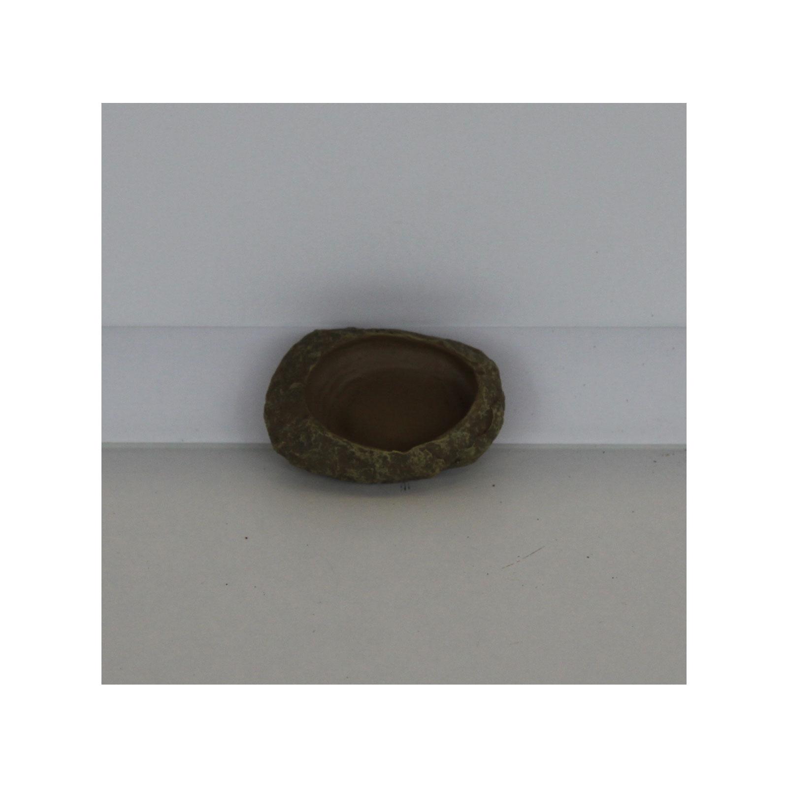 Reptiles-Planet Futternapf XS