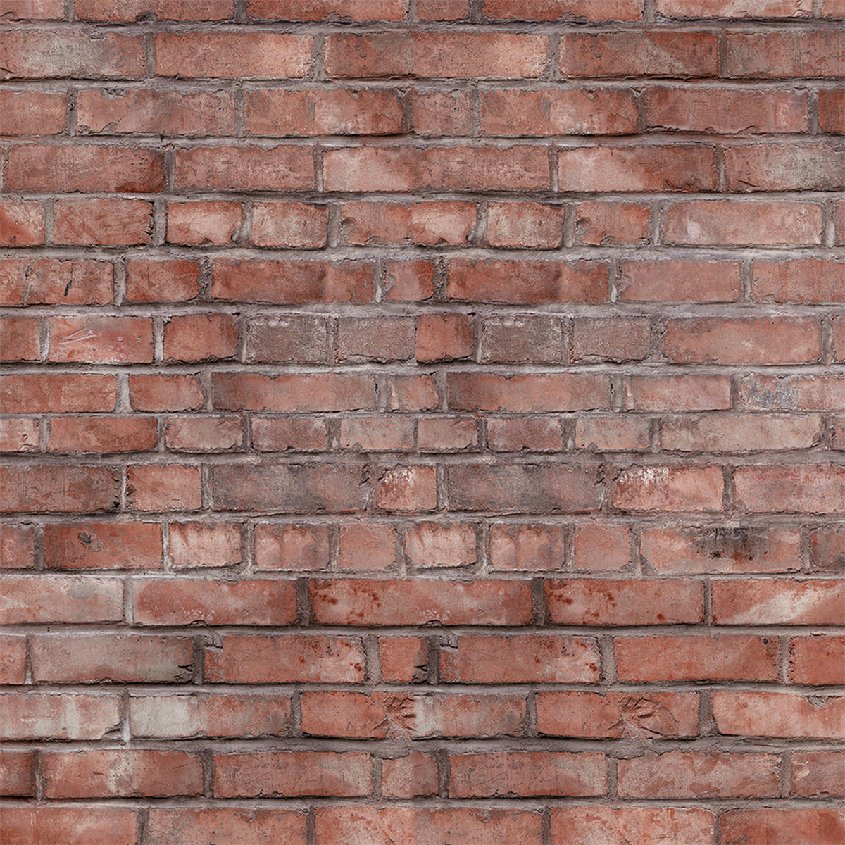 Schulte ExpressPlus Duschrueckwand DecoDesign Dekor Klinker 2550 x 1500 Bild 2