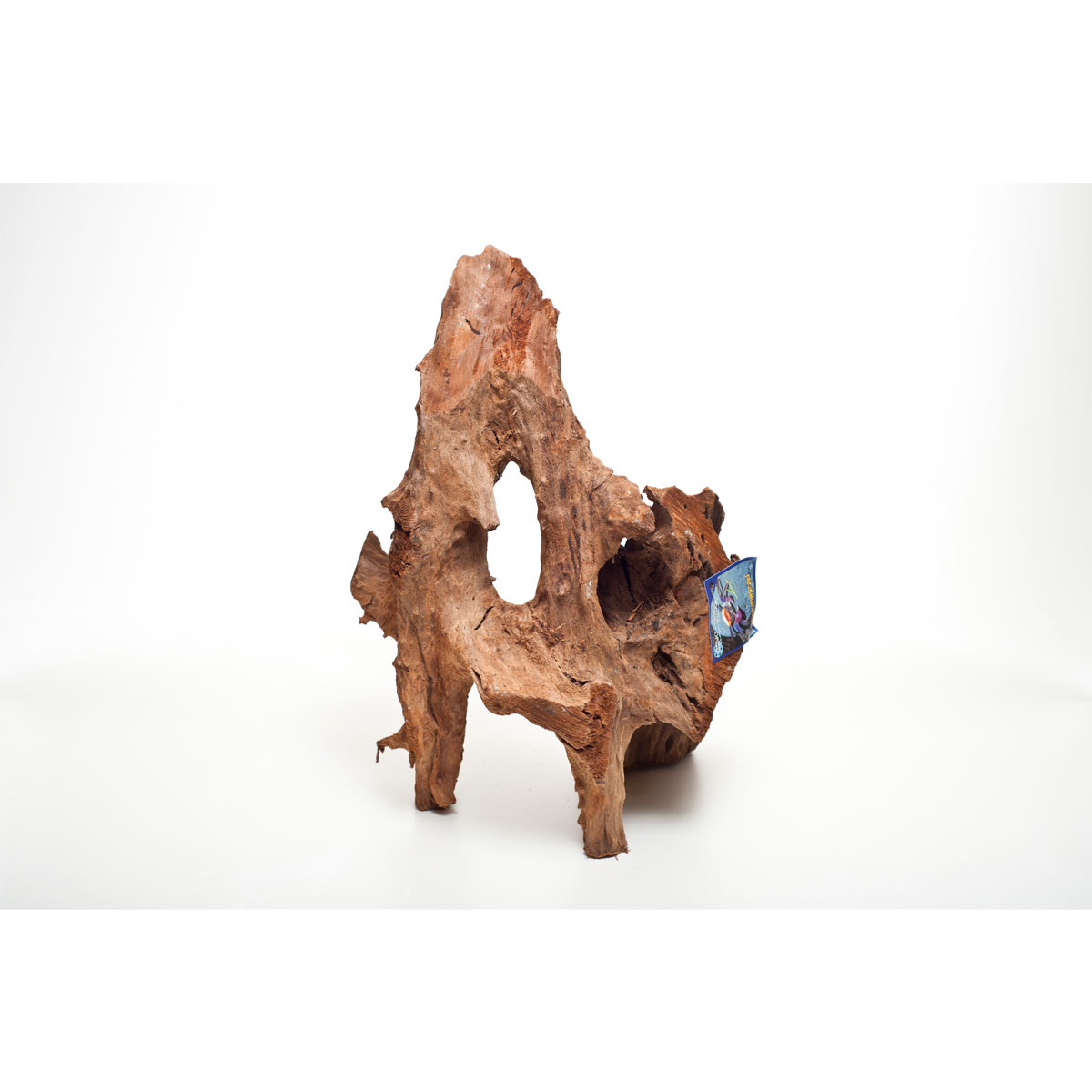 Traumwurzel 30-50 cm