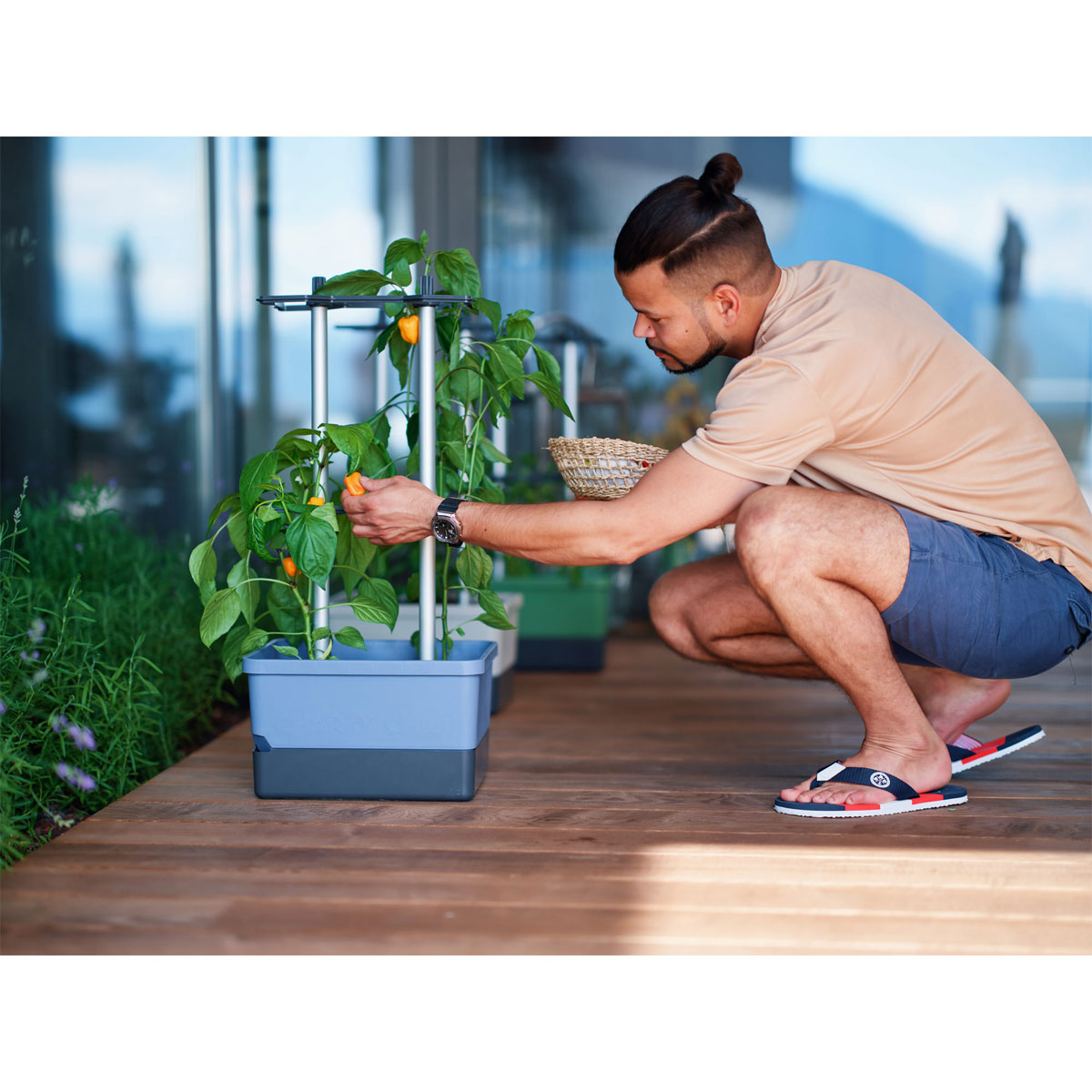 Rankhilfe Charly Chily blau Bild 4