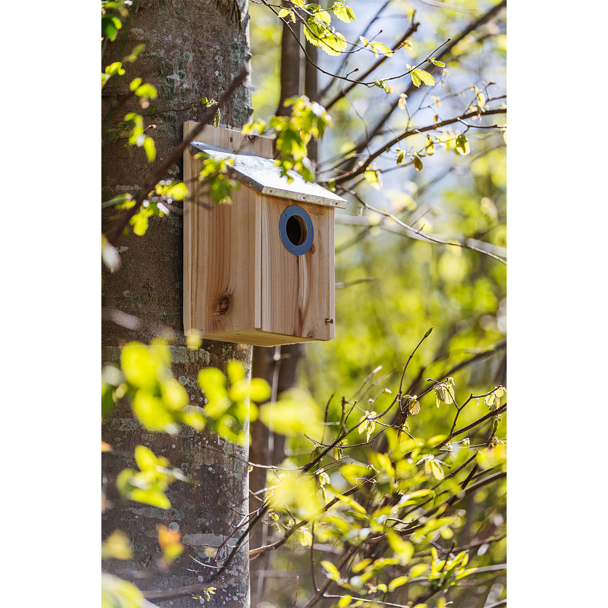 Trixie Nistkasten für Stare Bild 3