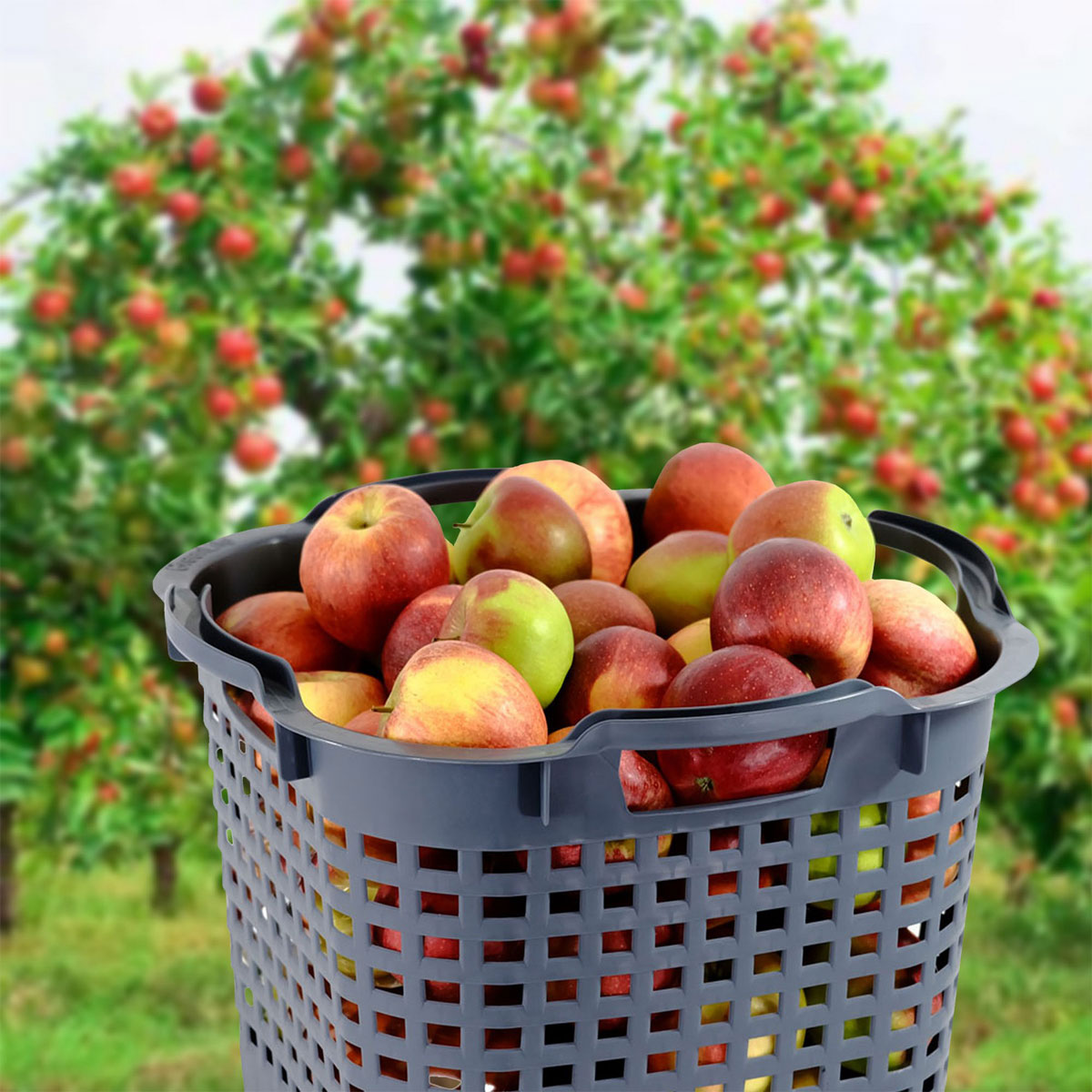 GreenLife Uni-Korb 25 kg, 3 Stück, drehstapelbar, grau Bild 7