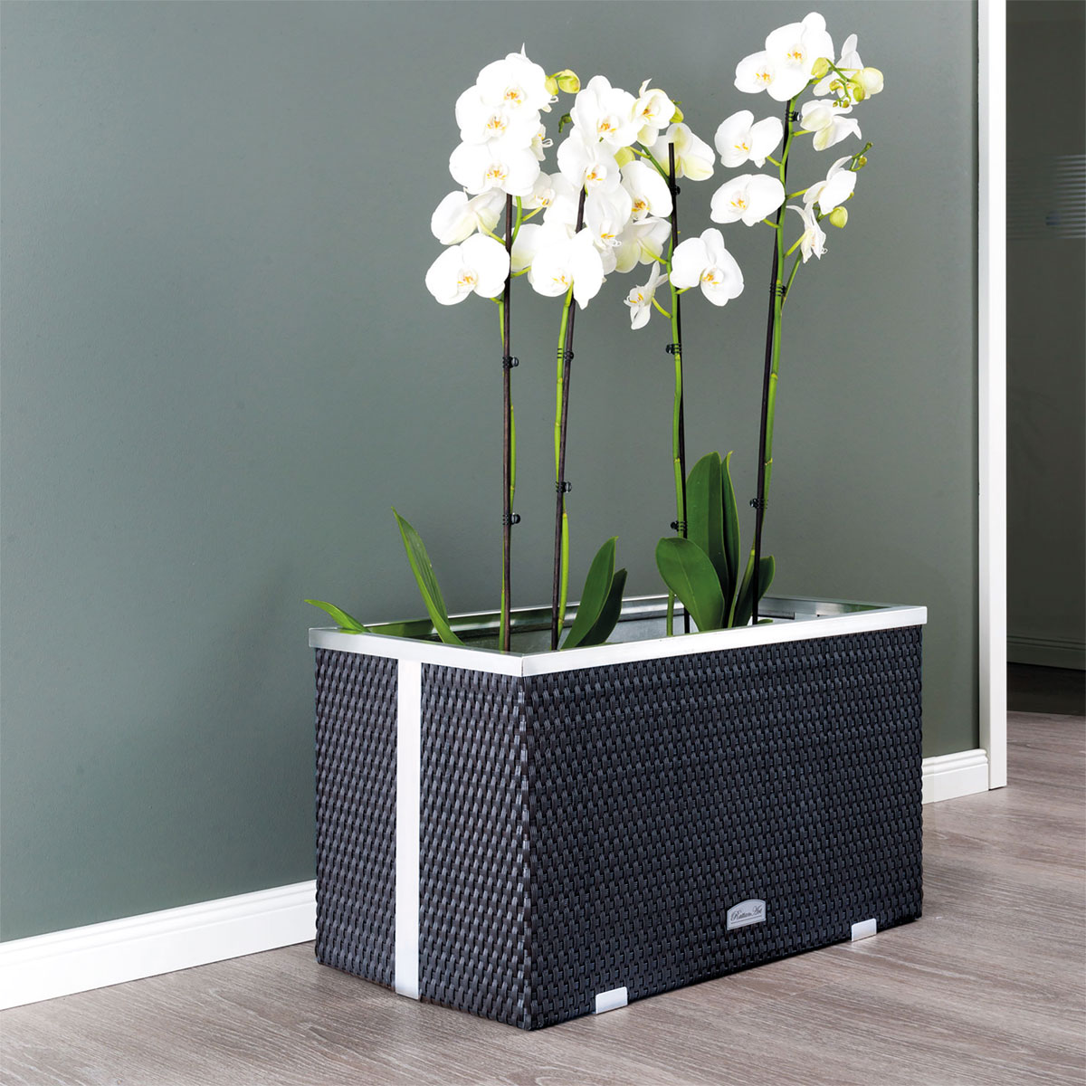 Wilk Rattan-Pflanzgefäß 38x38x38 cm, Kunststoff Bild 2