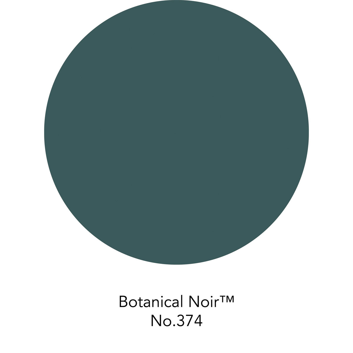 Wandfarbe „Botanic Noir No. 374“ matt, 0,125 L
