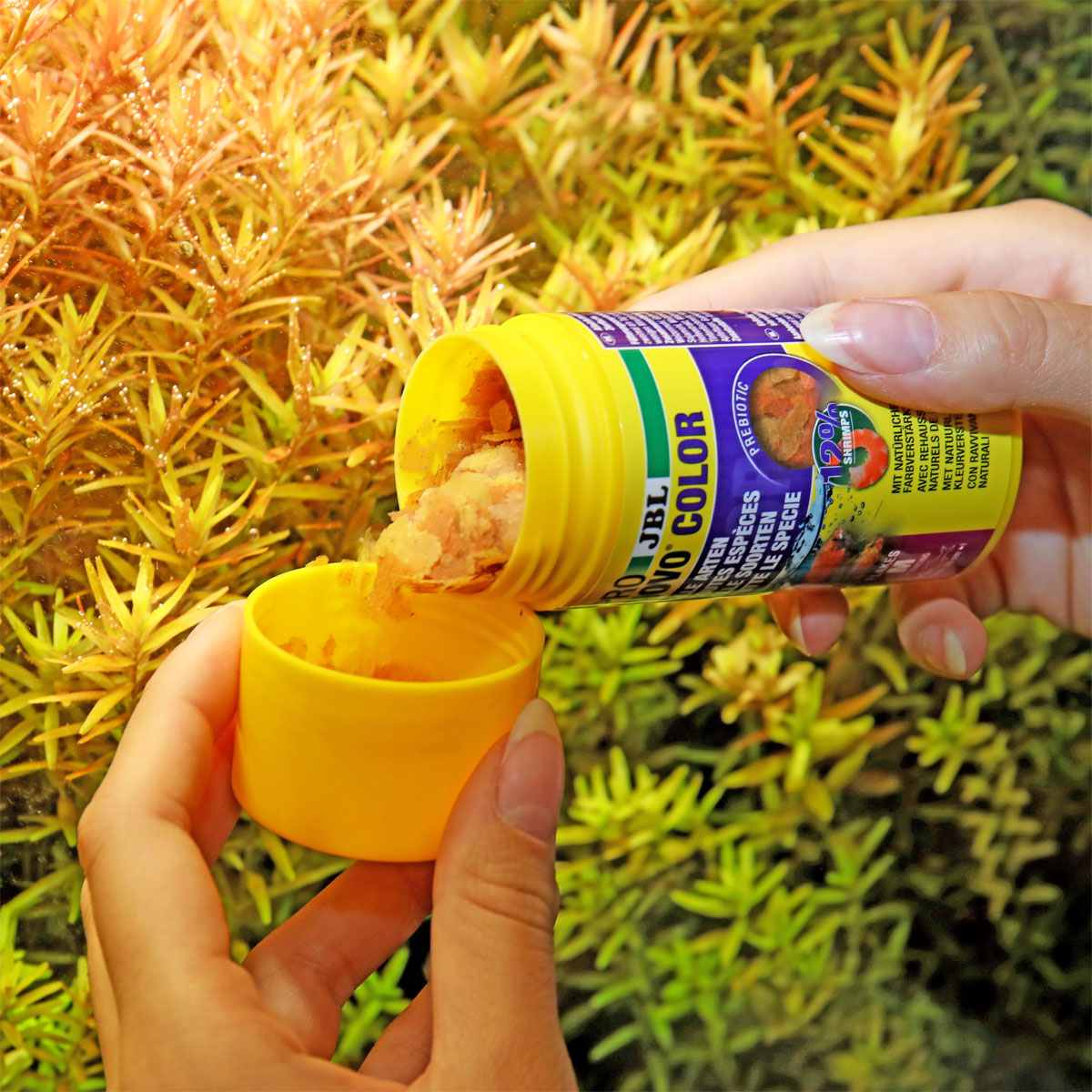 JBL  PRONOVO COLOR FLAKES M 100ml Bild 3