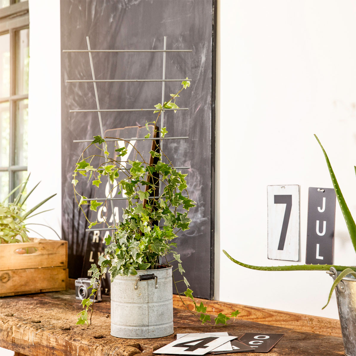 Windhager  Blumenstütze 77x34 cm metall