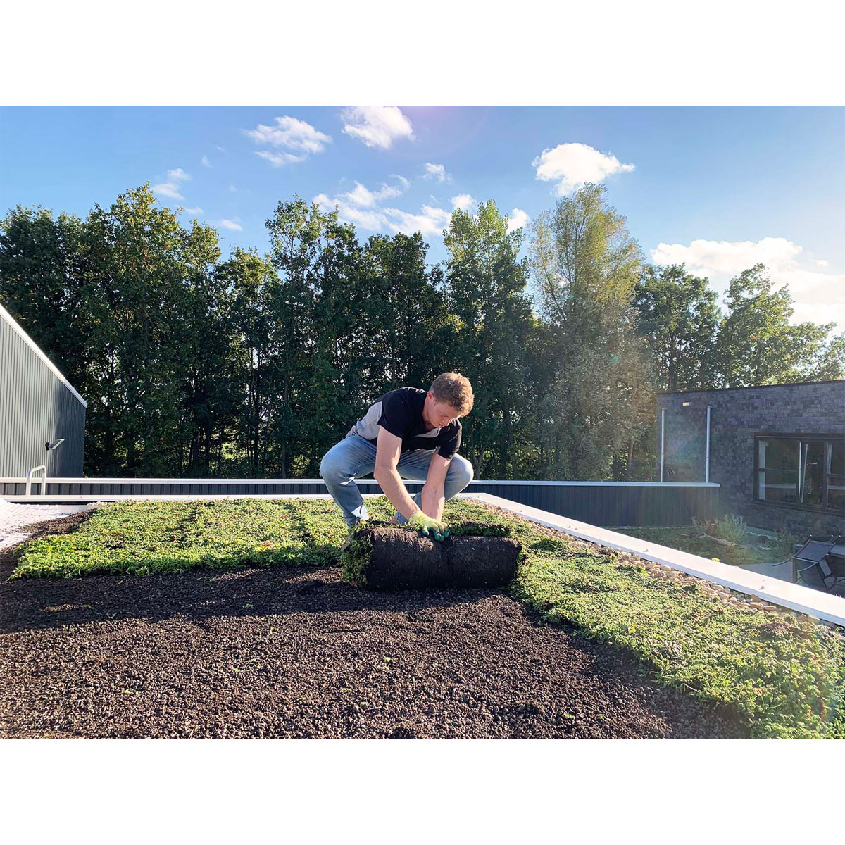 AboutGreen Gründachsystem Aromadach bis 10 Dachneigung 1 m² Bild 2