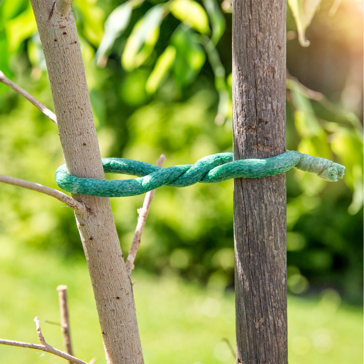 Windhager  Baumanbinder 10 m Durchmesser 8 mm Bild 2