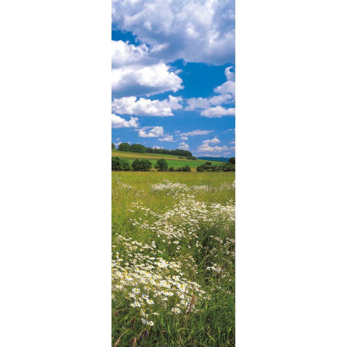 Vlies-Fototapete „Meadow“, 1-teilig, 100x280 cm