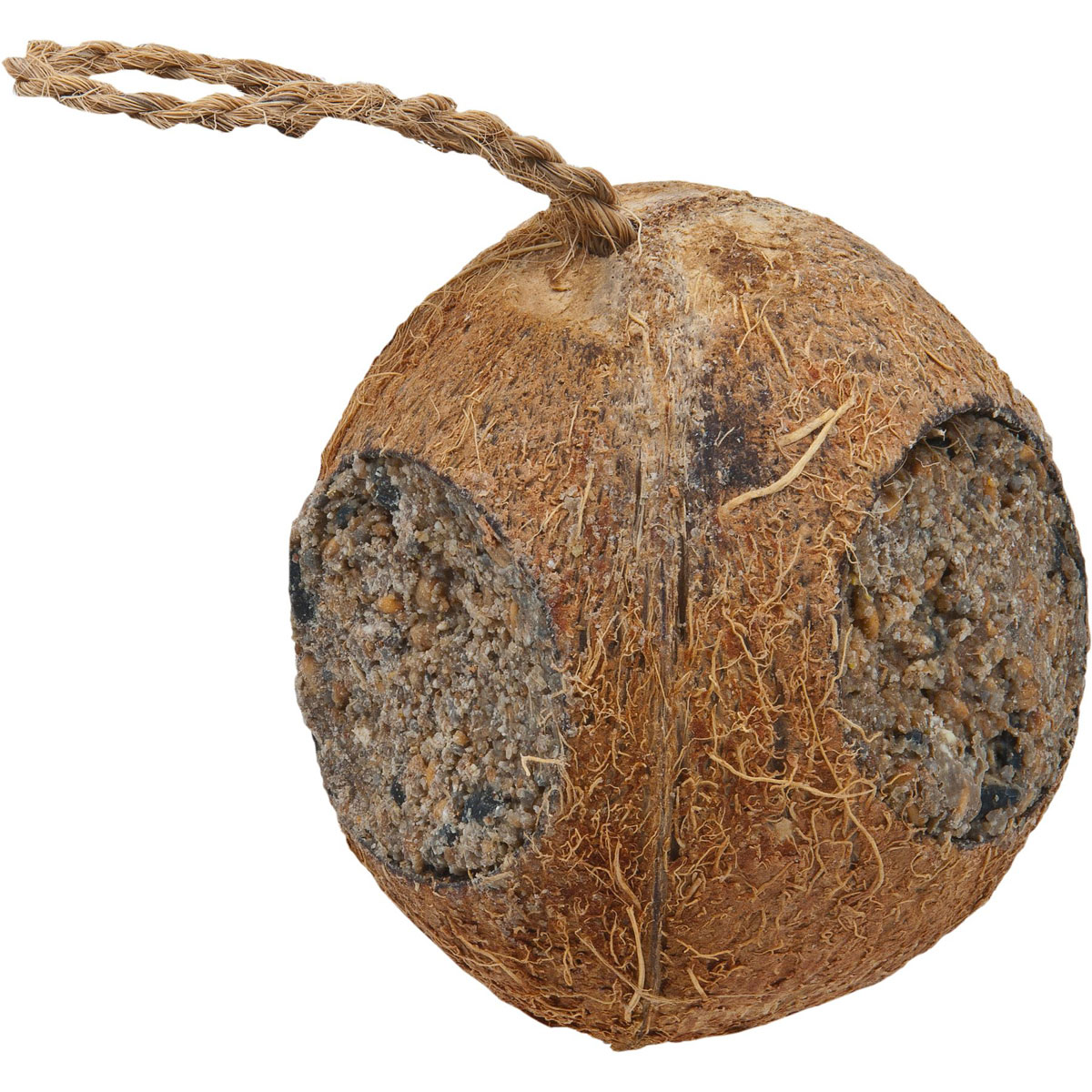 Pfiffikus Kokosnuss mit 3 Löchern