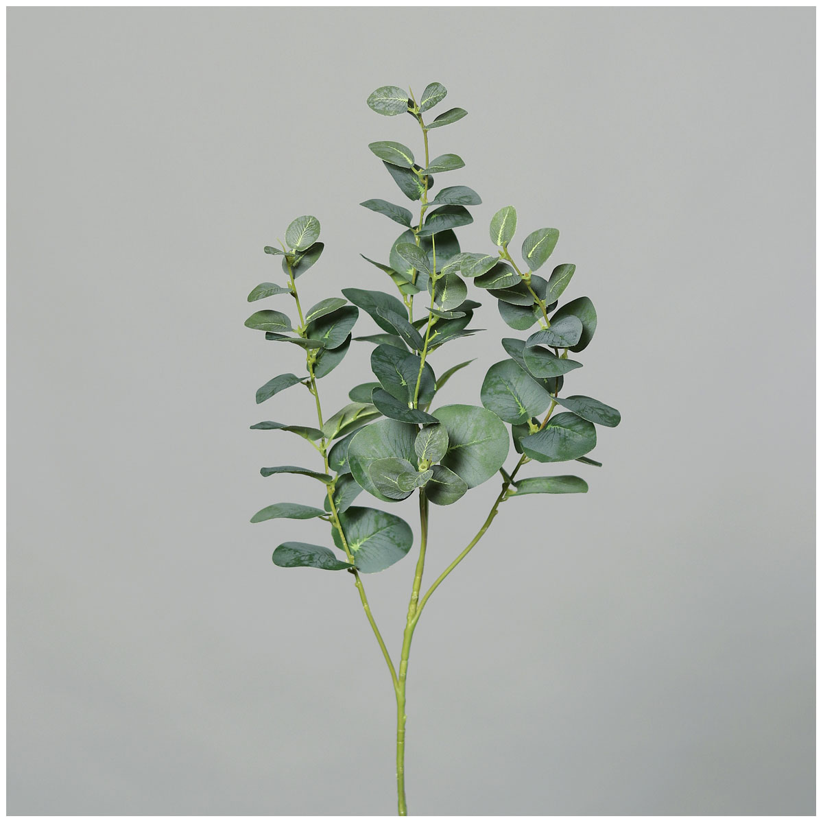 Eukalyptuszweig 92 cm green | 522229