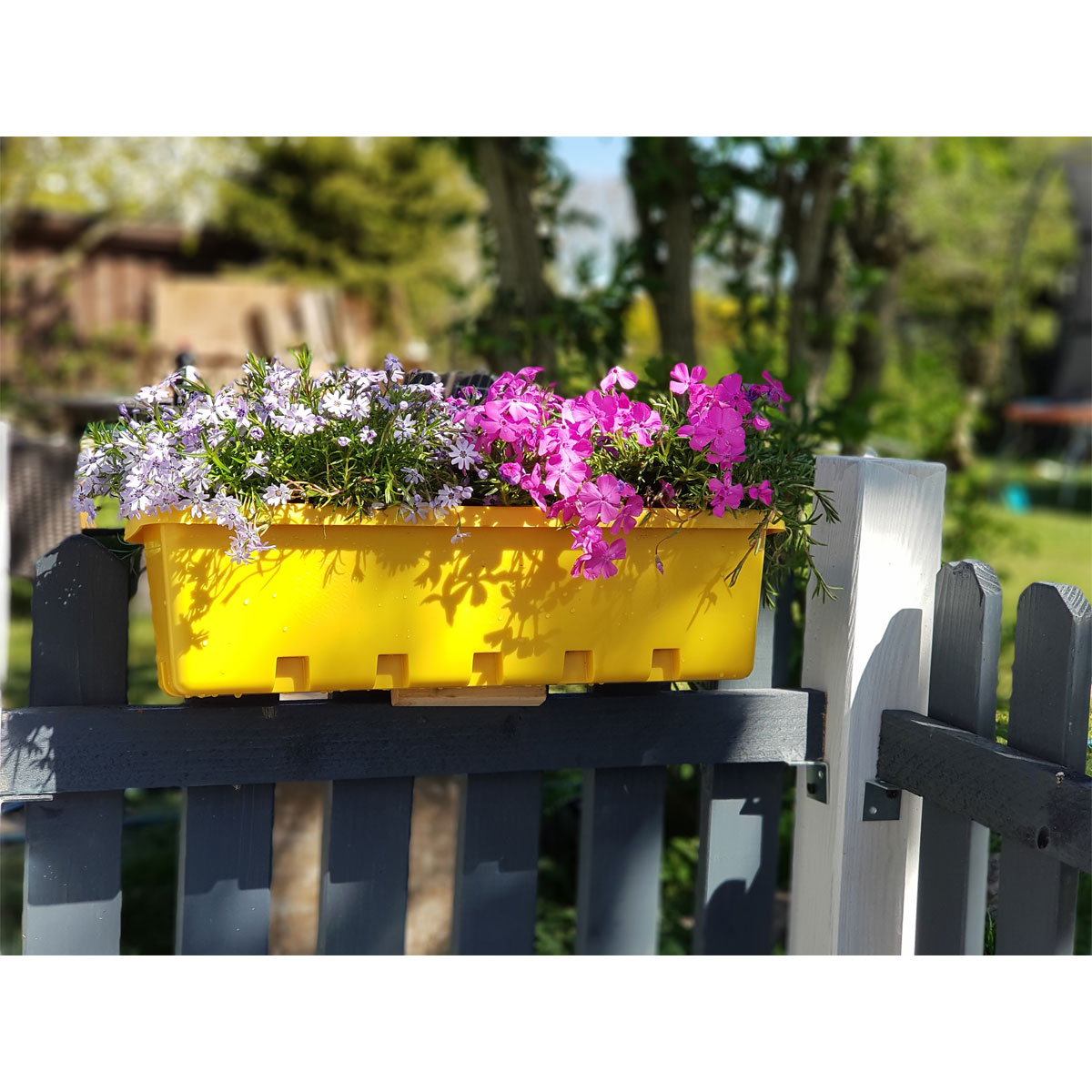 GreenLife Blumen- und Kräuterbox gelb 5 Stück | Gelb | K000064665