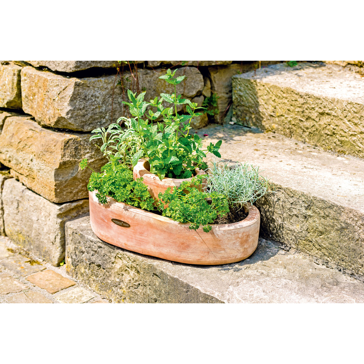 Haveson Kräuterspirale Mediterrano 40 x 25 x 20 cm Bild 3