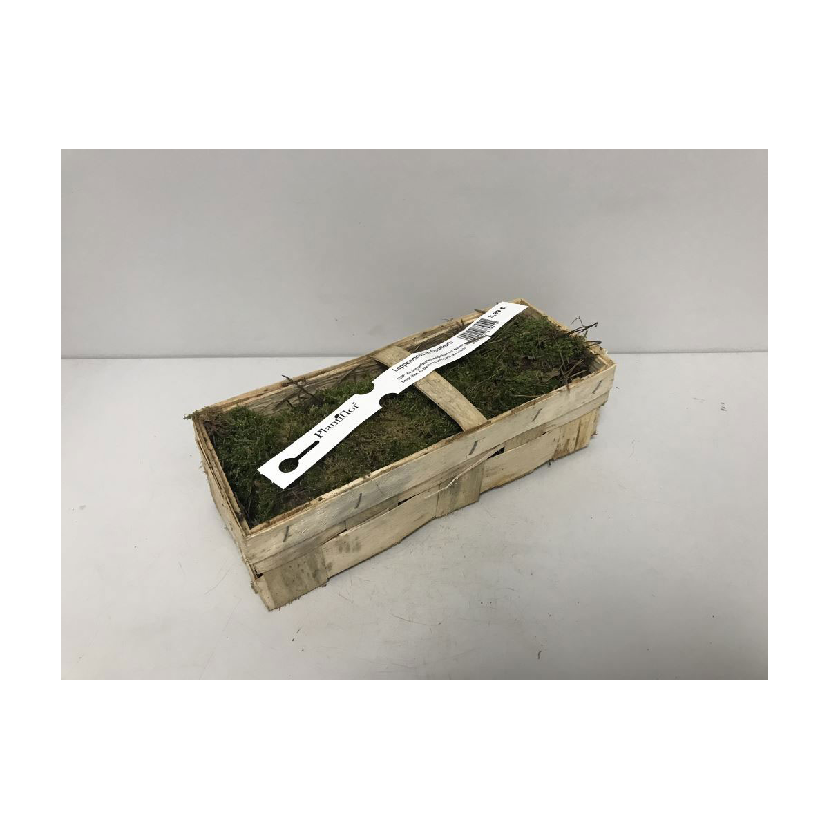 Plantiflor  Moos im Spankorb 28 x 12 x 10 cm