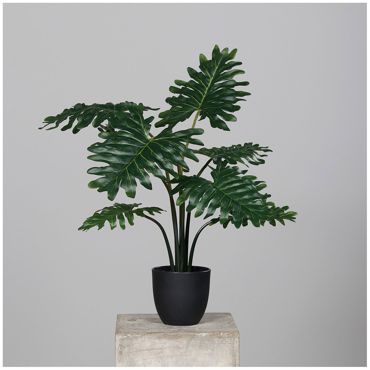 Philodendron Kunststofftopf, schwarz, 50 cm