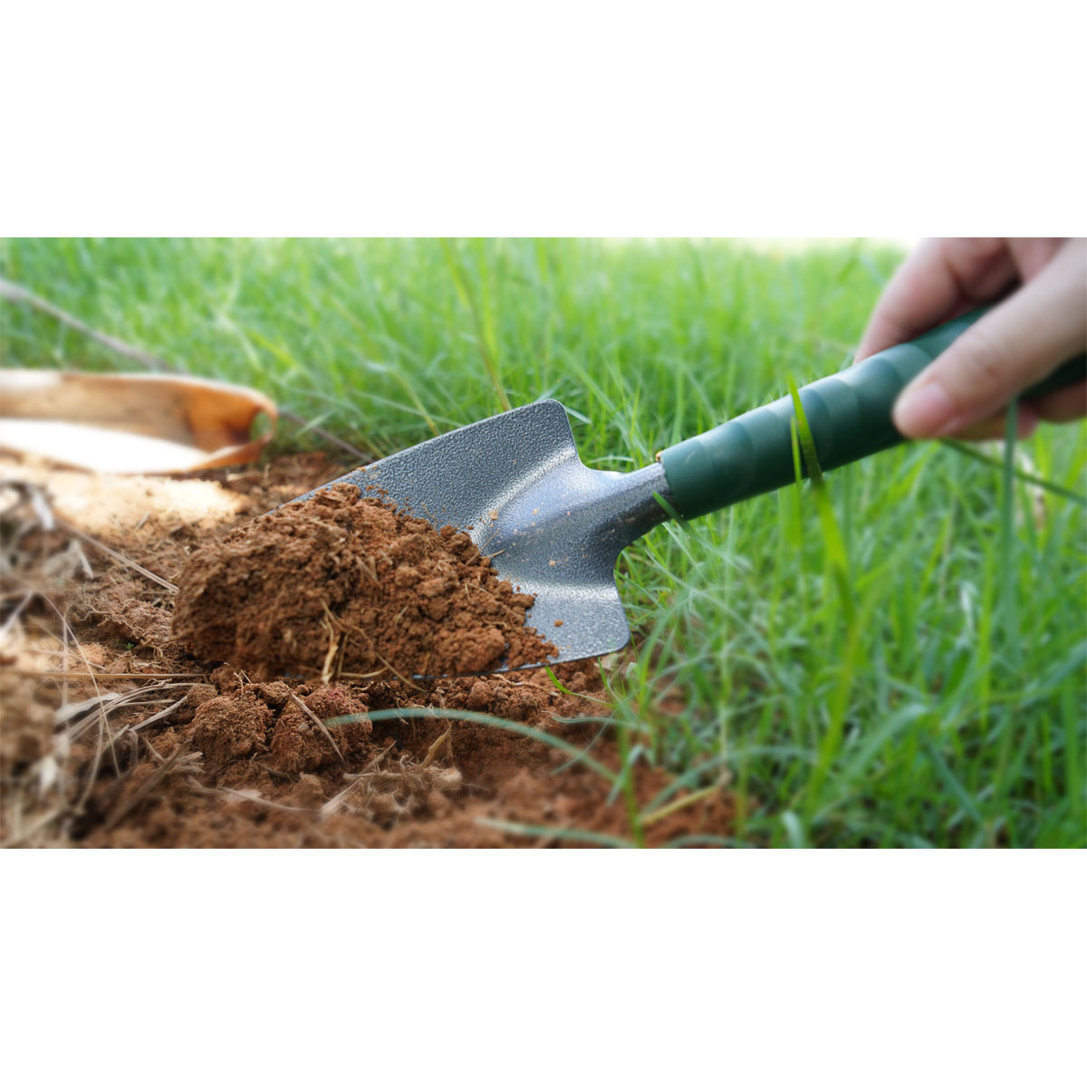 Wingart Blumenkelle Bild 2