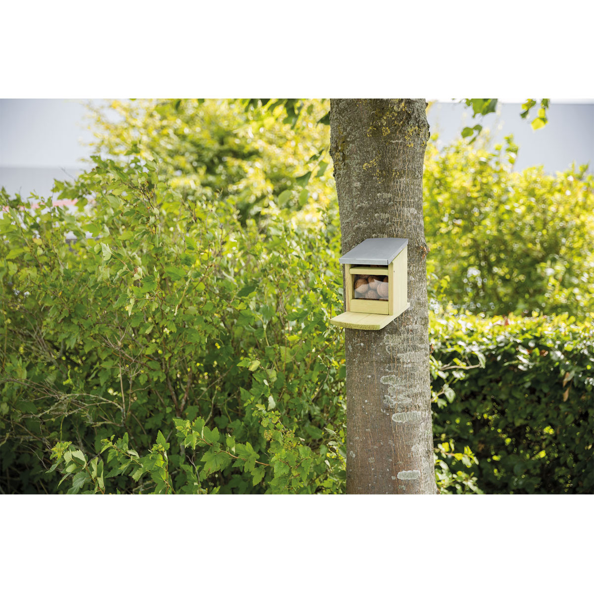 Trixie  Futterstation für Eichhörnchen Bild 6