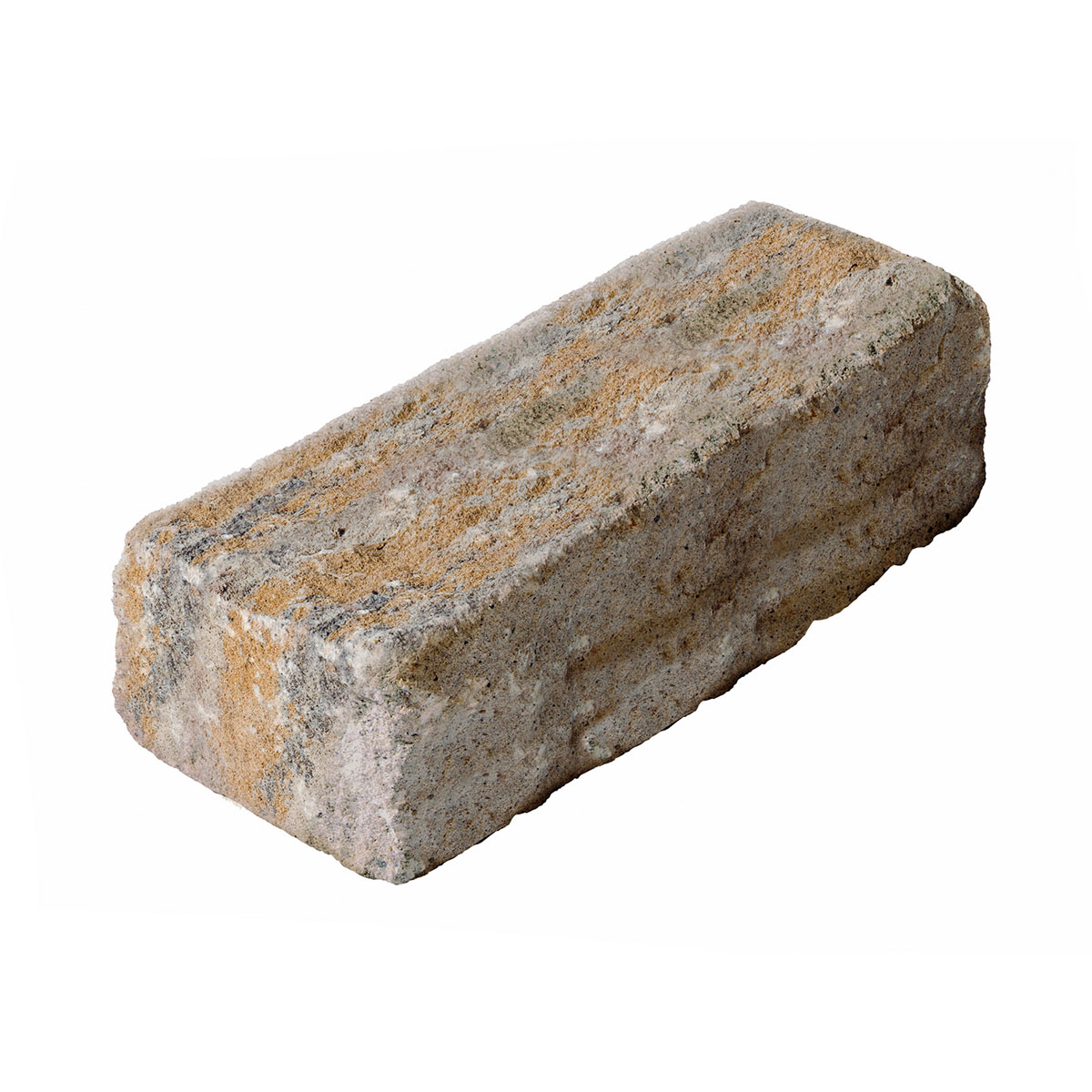 Diephaus  Mauerstein Cup-Mini Muschelk. 50 x 16,5 x 15 cm