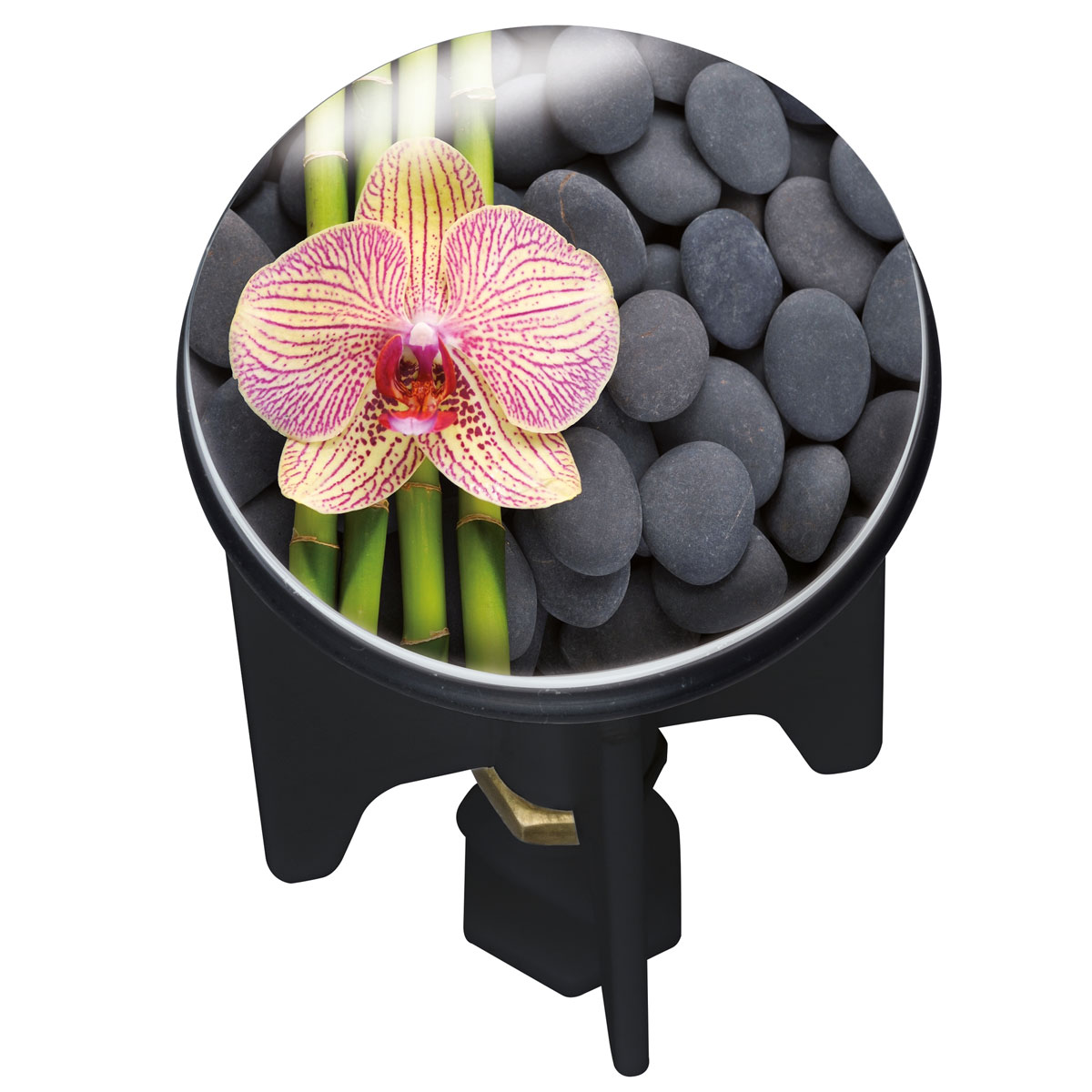 Wenko Waschbeckenstöpsel Pluggy Spa