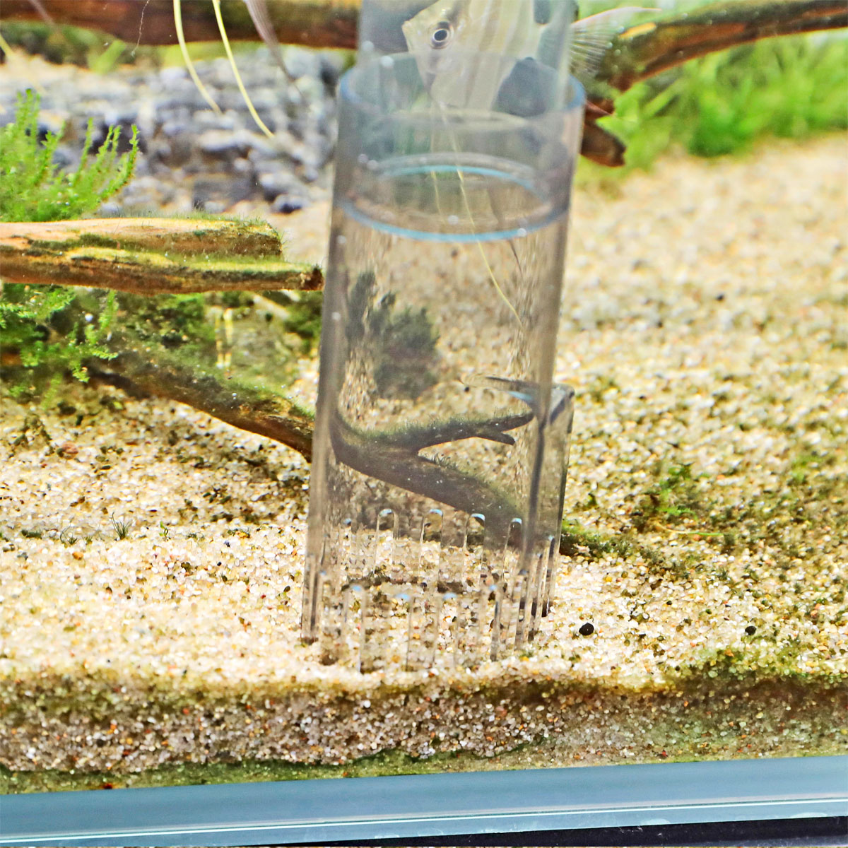 Wasserwechsel-Set PROCLEAN AQUA IN-OUT COMPLETE Bild 12