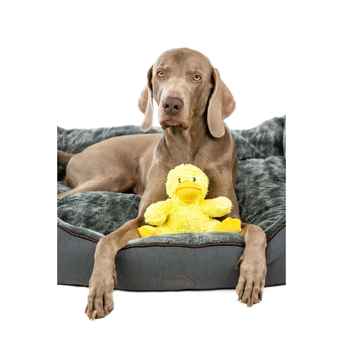 Nobby Pluesch Ente Daggi 18 cm