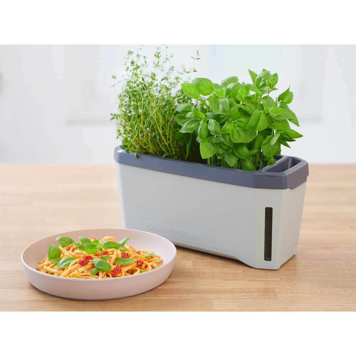 Anzuchtgefäß Harry Herbs mit Deckel hellgrau Bild 4