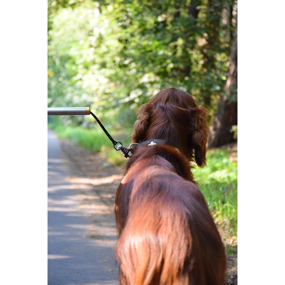 Hundeleine „Walky Dog Plus“, 37,5 cm, silber