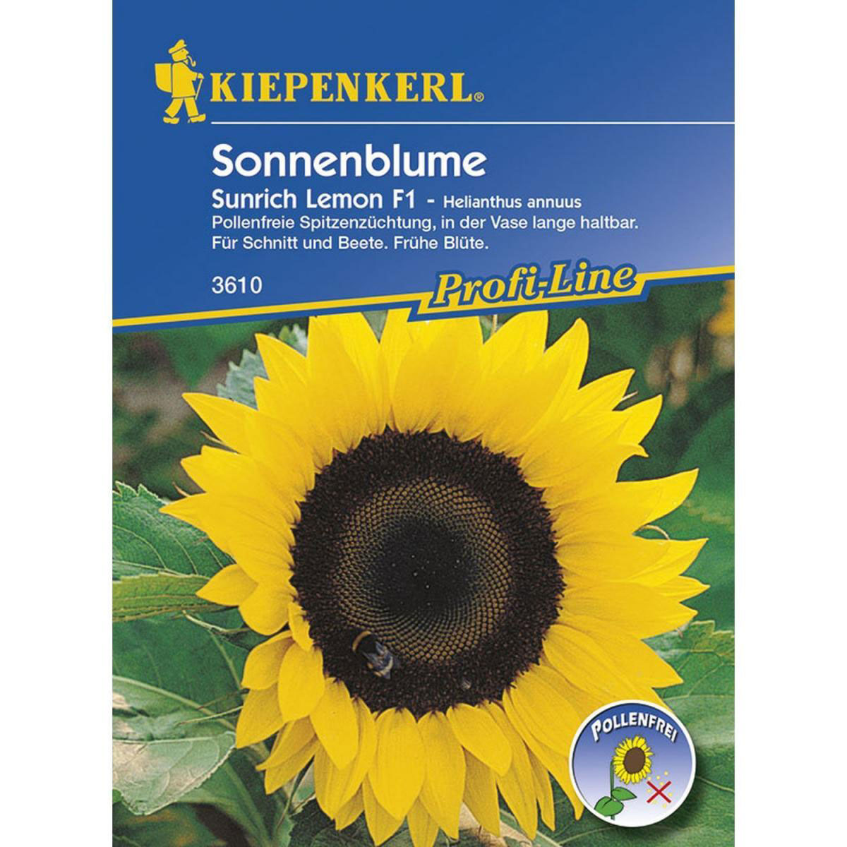 Kiepenkerl Sonnenblume Sunrich Lemon F1