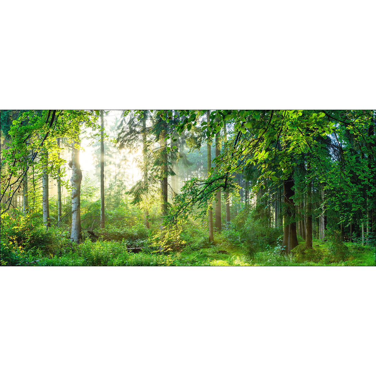 Decopanel, Forest Harmony 50x120cm