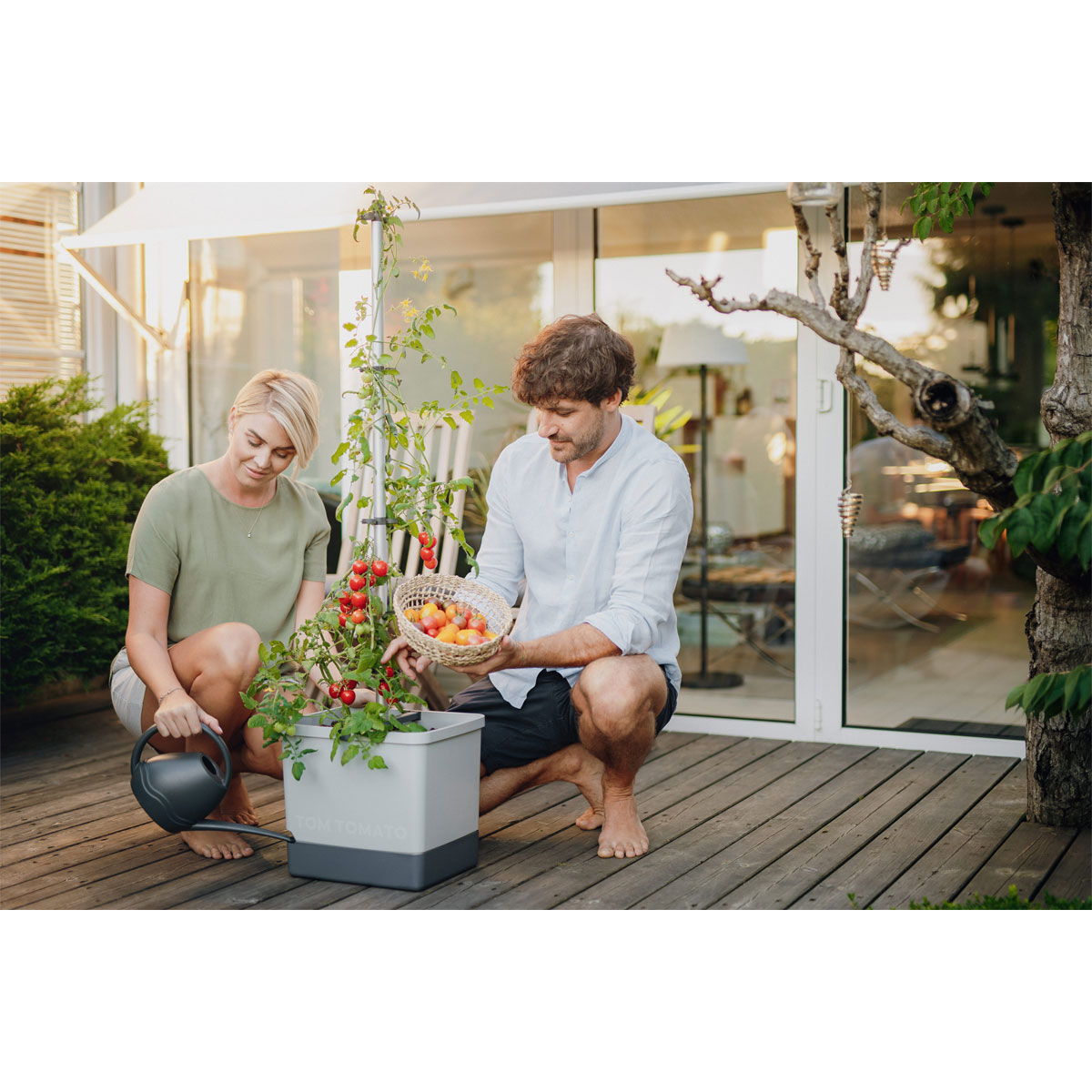 Anzuchtsgefäß Tom Tomato hellgrau Bild 3