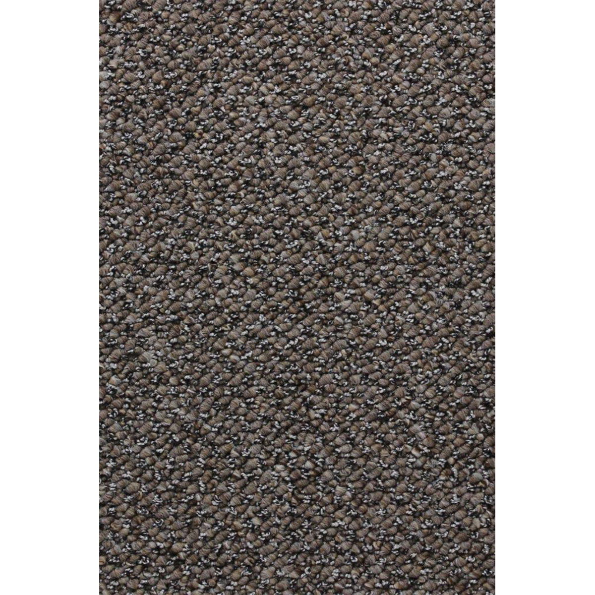 Teppichboden Leon 5m schlamm FB 8516