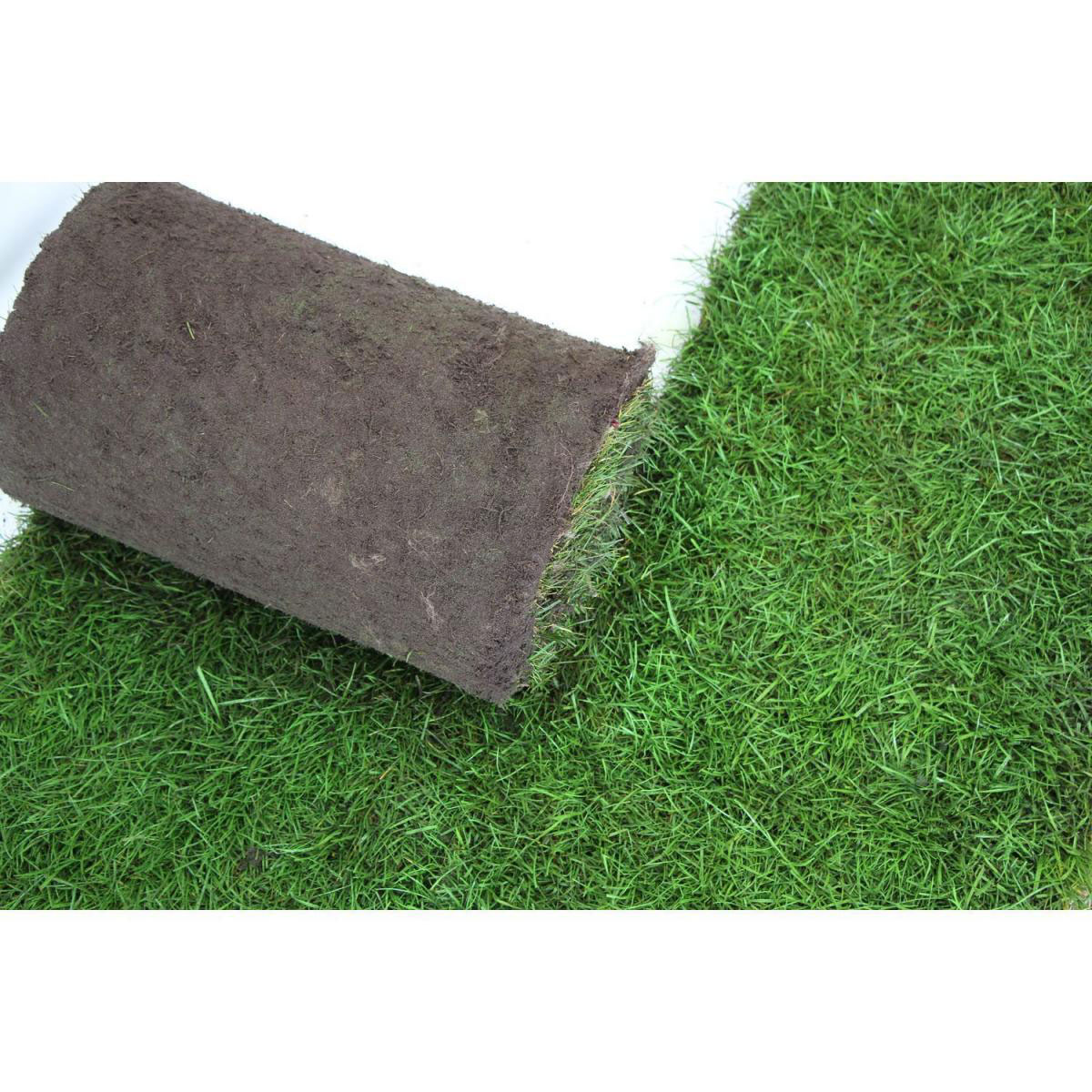 Plantiflor Rollrasen Sport und Spiel Bild 2