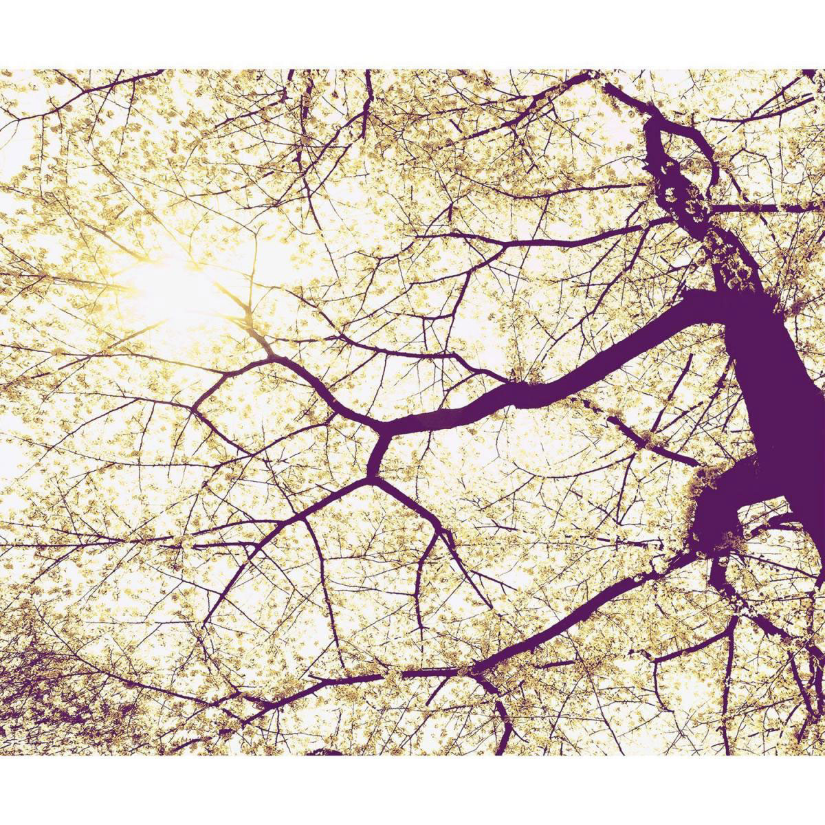 Vlies-Fototapete „Sunshine“, 3-teilig, 300x250 cm