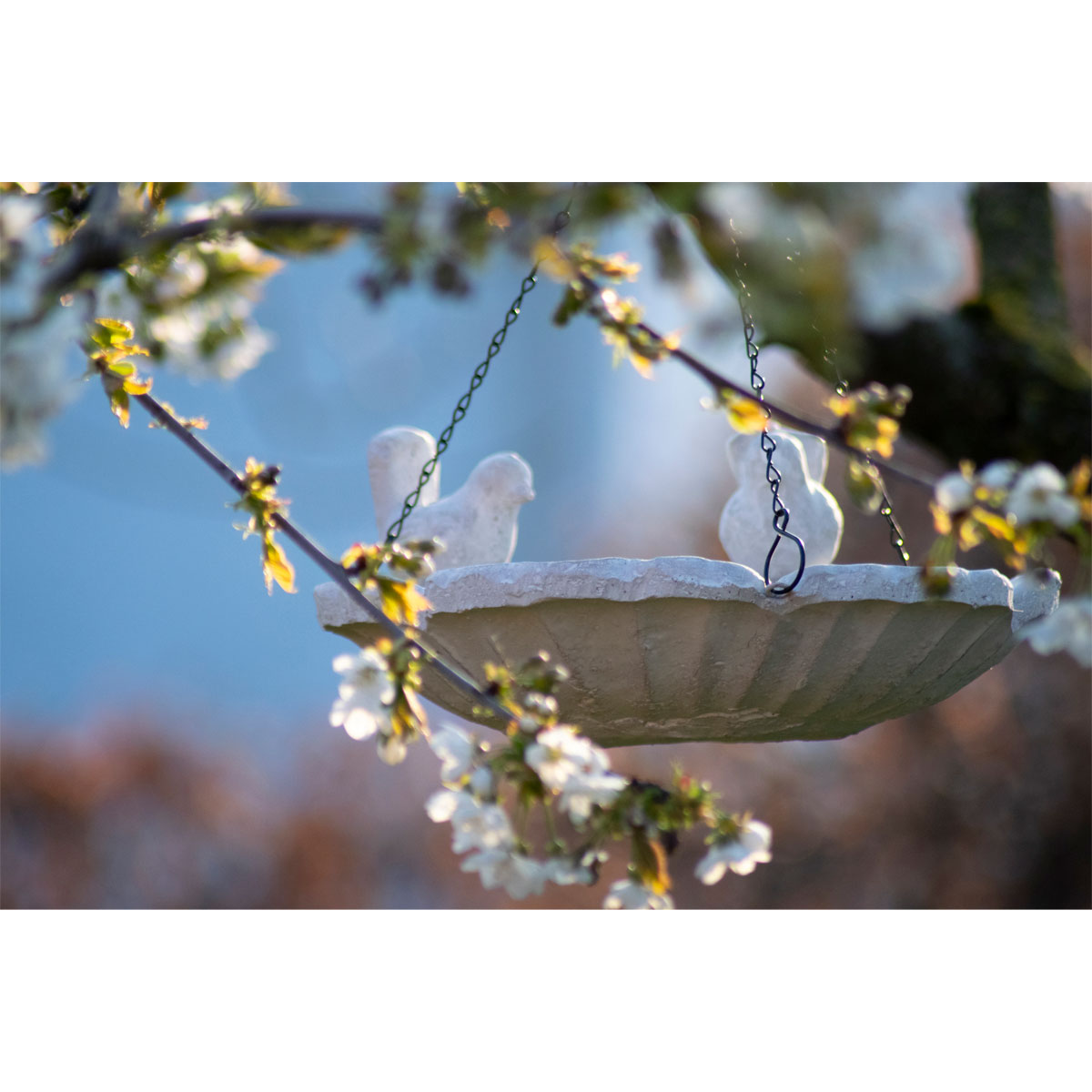 Vogeltränke „Blütenschaukel“, 30x7x31 cm, weiß
