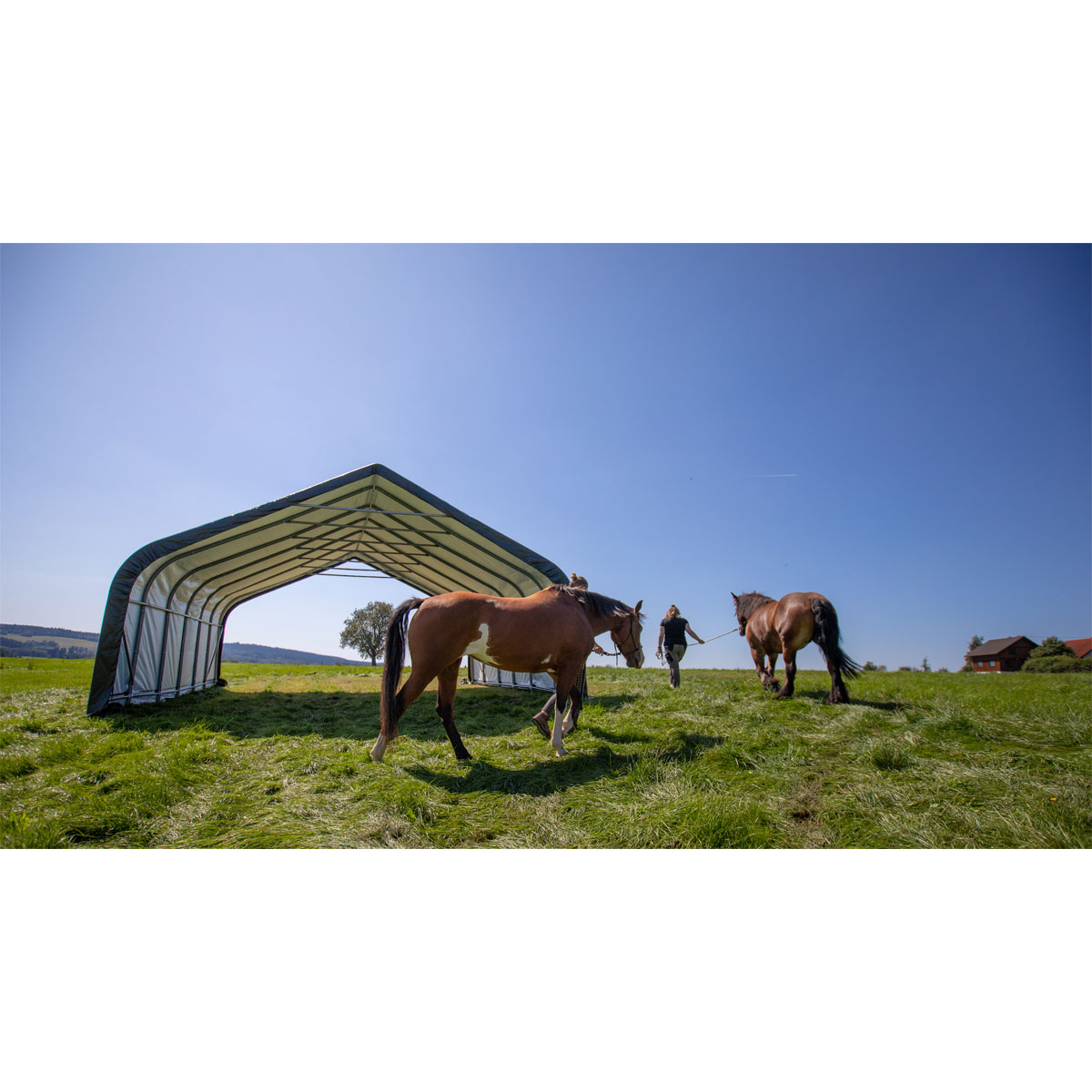 ShelterLogic Weidezelt Run-In-Shed 49,64 m² 730x670x380cm Grün Bild 3